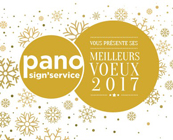 Meilleurs Voeux 2017